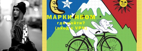 стаф Инта