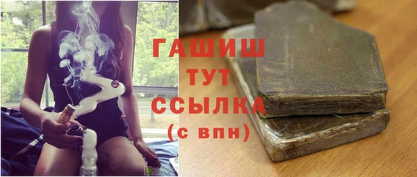 стаф Инта